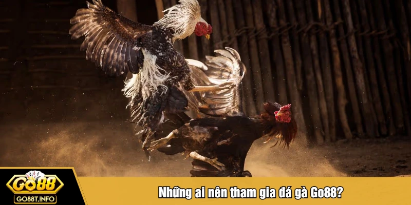 Những ai nên tham gia đá gà Go88?