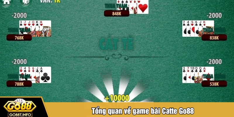 Tổng quan về game bài Catte Go88